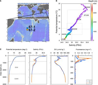 Contribution of aged organic carbon to suspended particulate organic carbon in the western equatorial Indian Ocean